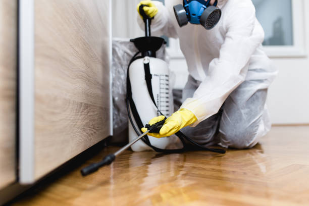 Pest Control for Restaurants in Spring City, UT