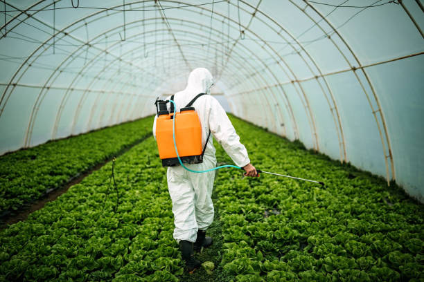 Best Pest Inspection Near Me  in Spring City, UT