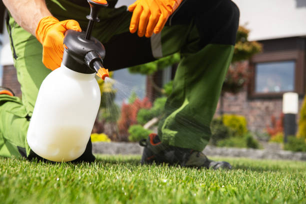 Best Wasp Removal Services  in Spring City, UT