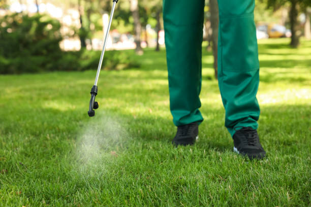 Best Ant Control Services  in Spring City, UT