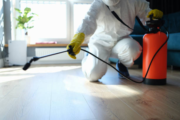 Best Pest Control for Homes  in Spring City, UT