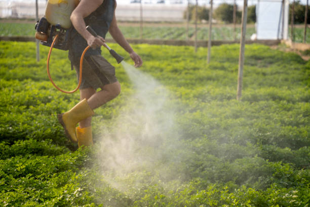 Best Residential Pest Control  in Spring City, UT