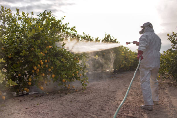 Best Bed Bug Extermination  in Spring City, UT