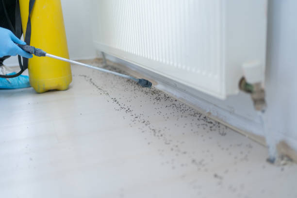 Best Pest Control for Restaurants  in Spring City, UT