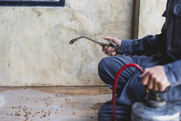 Best Pest Prevention Services  in Spring City, UT