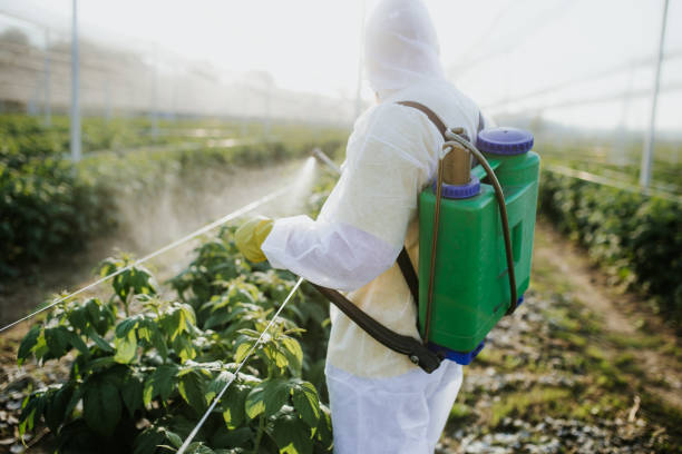 Best Best Pest Control Companies  in Spring City, UT